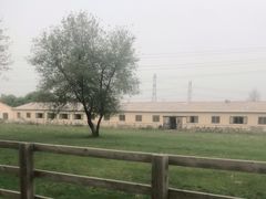 -北京群众马术培训基地