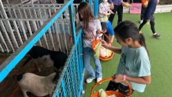 -小蜜蜂农场(凯德七宝购物广场店)