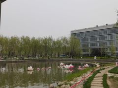 -廊坊文化艺术中心