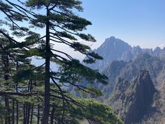 -黄山风景区