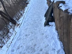 -北京西山国家森林公园