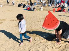 -老虎石海上公园