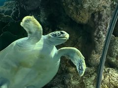 -上海海洋水族馆