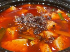 陈麻婆豆腐-陈麻婆豆腐(春熙店)