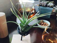 -王尔德与花