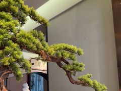 -高玛纳驴肉火烧(河间总店)