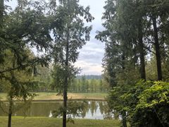 -黄海国家森林公园