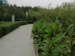 -西安汉城湖景区