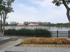 -上海长兴岛郊野公园