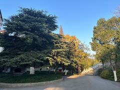 -沙市市中山公园