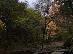 -香山公园