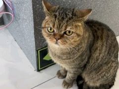 -纳吉亚猫专科动物医院博雅分院
