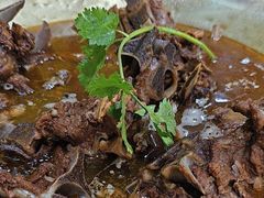 -芦月轩羊蝎子(北蜂窝店)