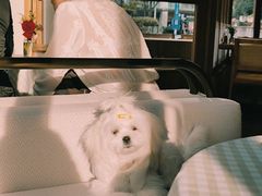 -翠贝卡&Mama Kelly Brunch Coffee(河西店)