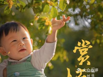 秋天是有香味的，温柔得可以治愈一切  经历了过山车般