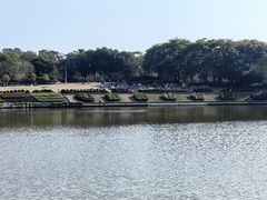 -东莞植物园