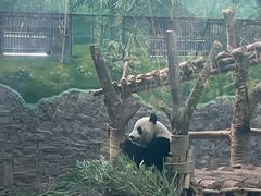 -黔灵山公园