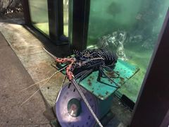 -芽庄MP泰式海鲜海景餐厅