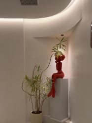 -WENDY·温迪皮肤管理