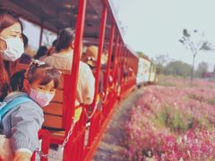 -歌斐颂巧克力小镇