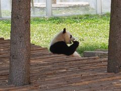 -西安秦岭野生动物园