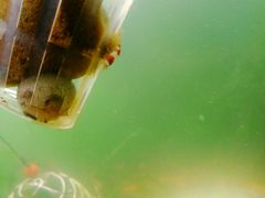 -艾溪湖湿地公园