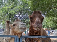 -长白岛森林公园