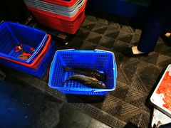 -老板恋上鱼(恒隆广场店)