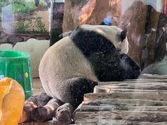 -南昌动物园