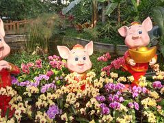 -北京植物园-展览温室