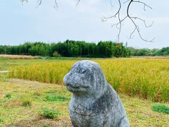 -良渚古城遗址公园