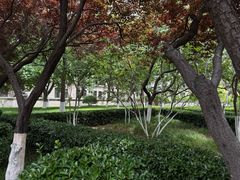 -山东师范大学(千佛山校区)