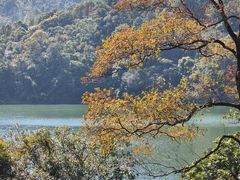 -佛山市三水区大南山森林公园