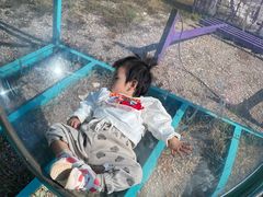 -梁子湖东篱老屋生态庄园