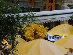 -湖畔居茶楼(湖滨店)