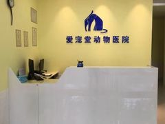 -瑞鹏宠物医院·爱宠堂·骨外专科(西荷分院)