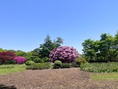 -上海鲜花港