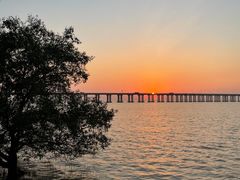 -宝安西湾红树林湿地公园