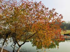 -白塘生态植物园