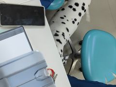 -奈斯宠物医院·核磁CT·异宠专科·内镜(中南店)