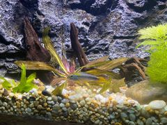 -上海海洋水族馆