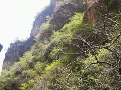 -狼牙山风景区