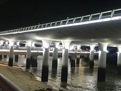 -演武大桥观景平台