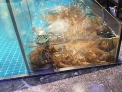 -曼格活海鲜·牛排自助(光明蓝鲸店)