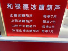 -和禄德冰糖葫芦