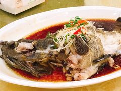 -和乐喜点(宝岗大道店)