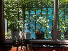 -屯屯面(海尔路店)