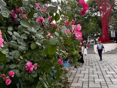 -UNI UNI(环亚凯瑟琳店)