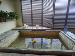 -春晖园度假酒店温泉