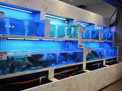 -辛香味烧鱼馆·非遗技艺·排骨红烧肉(光谷医药园店)